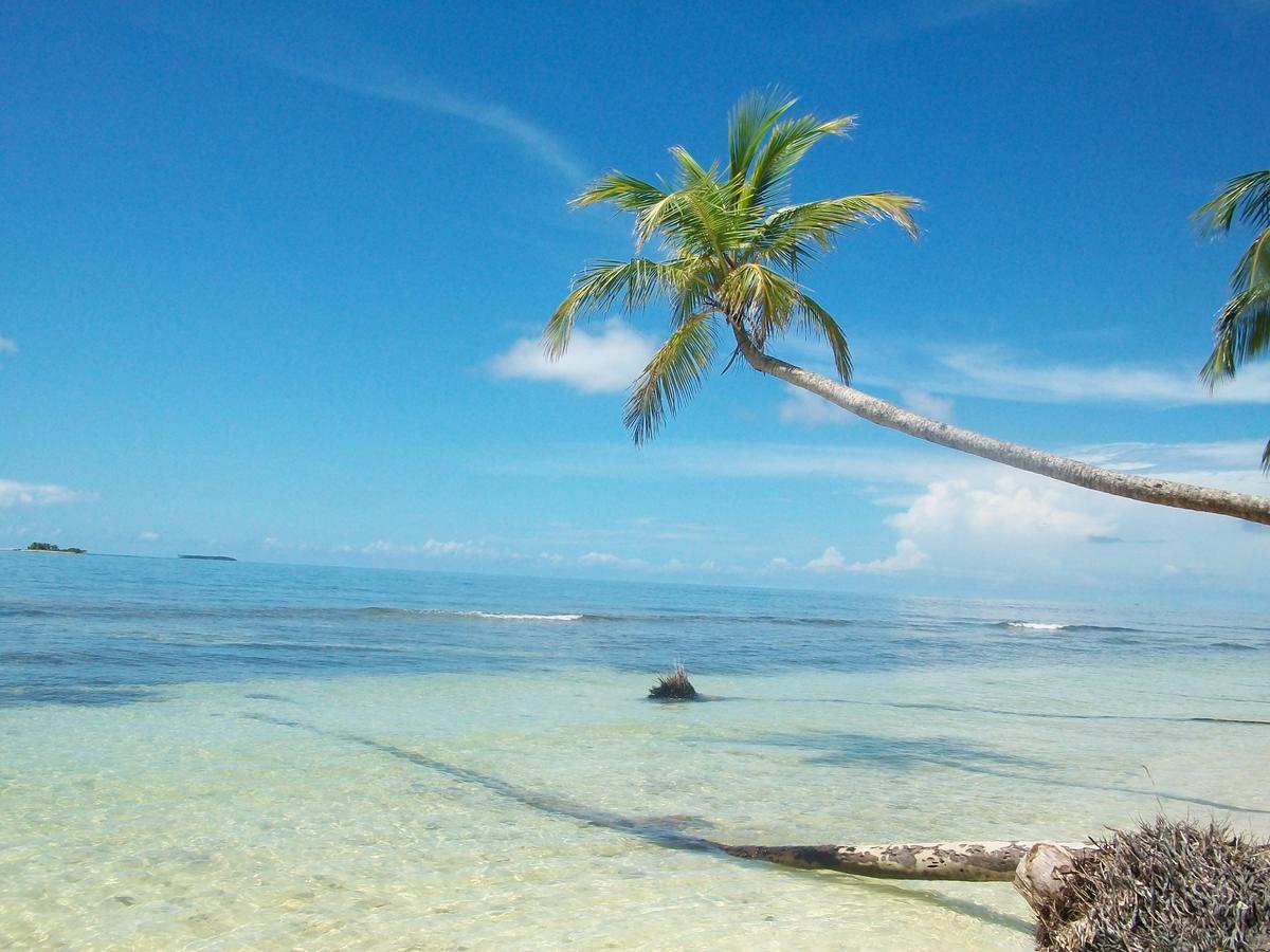 Set Net Pink Pearl Island Resort المظهر الخارجي الصورة